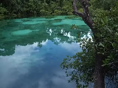 lagoa
